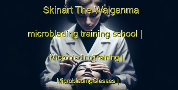 Skinart The Waiganma microblading training school | MicrobladingTraining | MicrobladingClasses | SkinartTraining-China